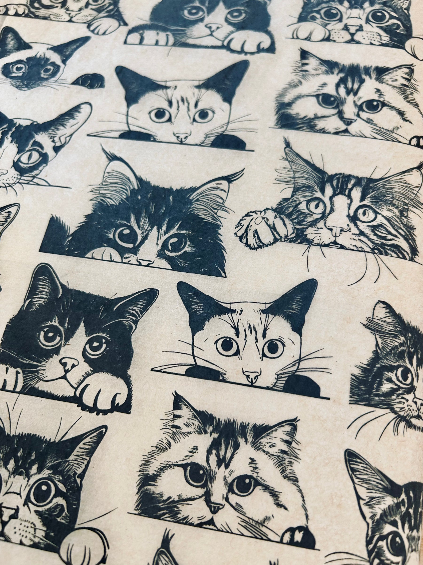 Zany Cats - Underglaze Transfer Sheet - Black