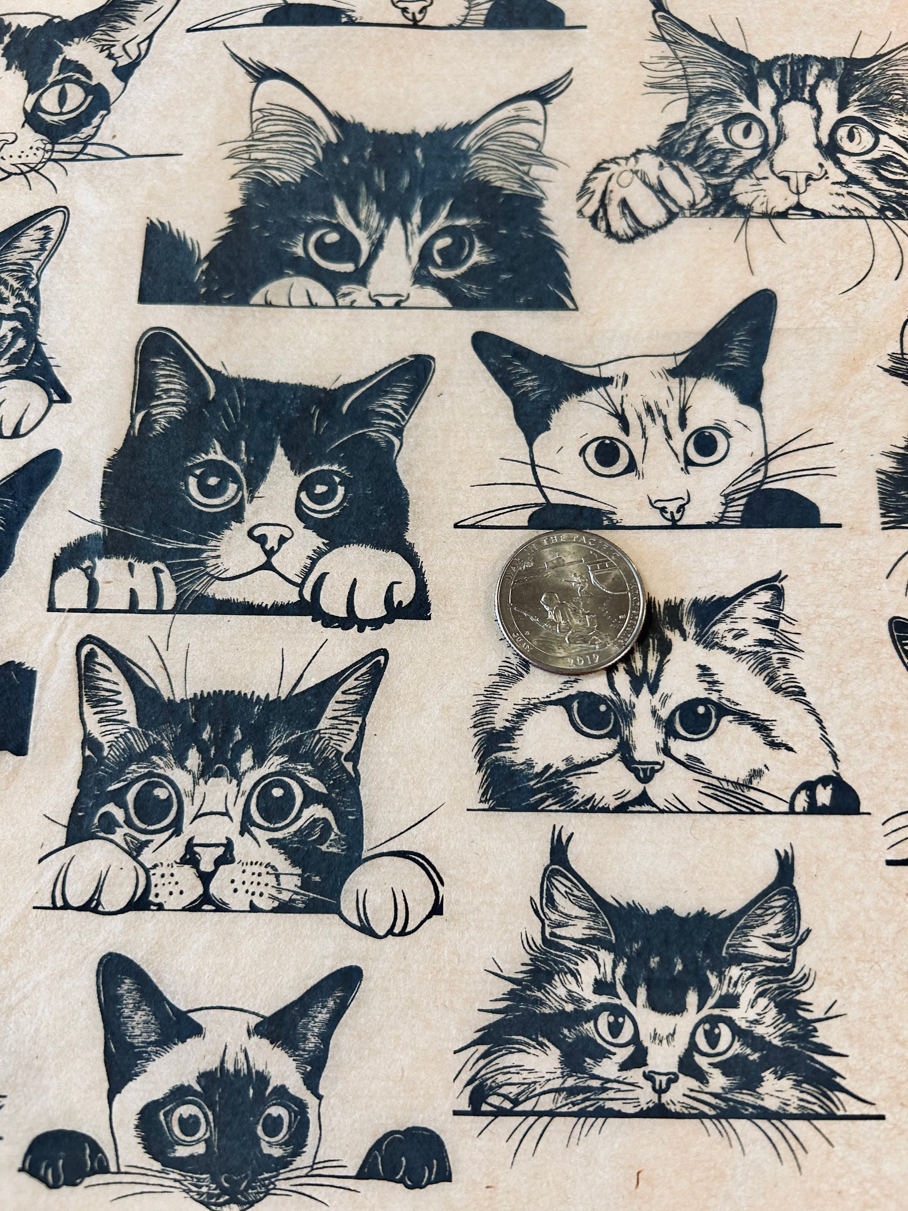 Zany Cats - Underglaze Transfer Sheet - Black