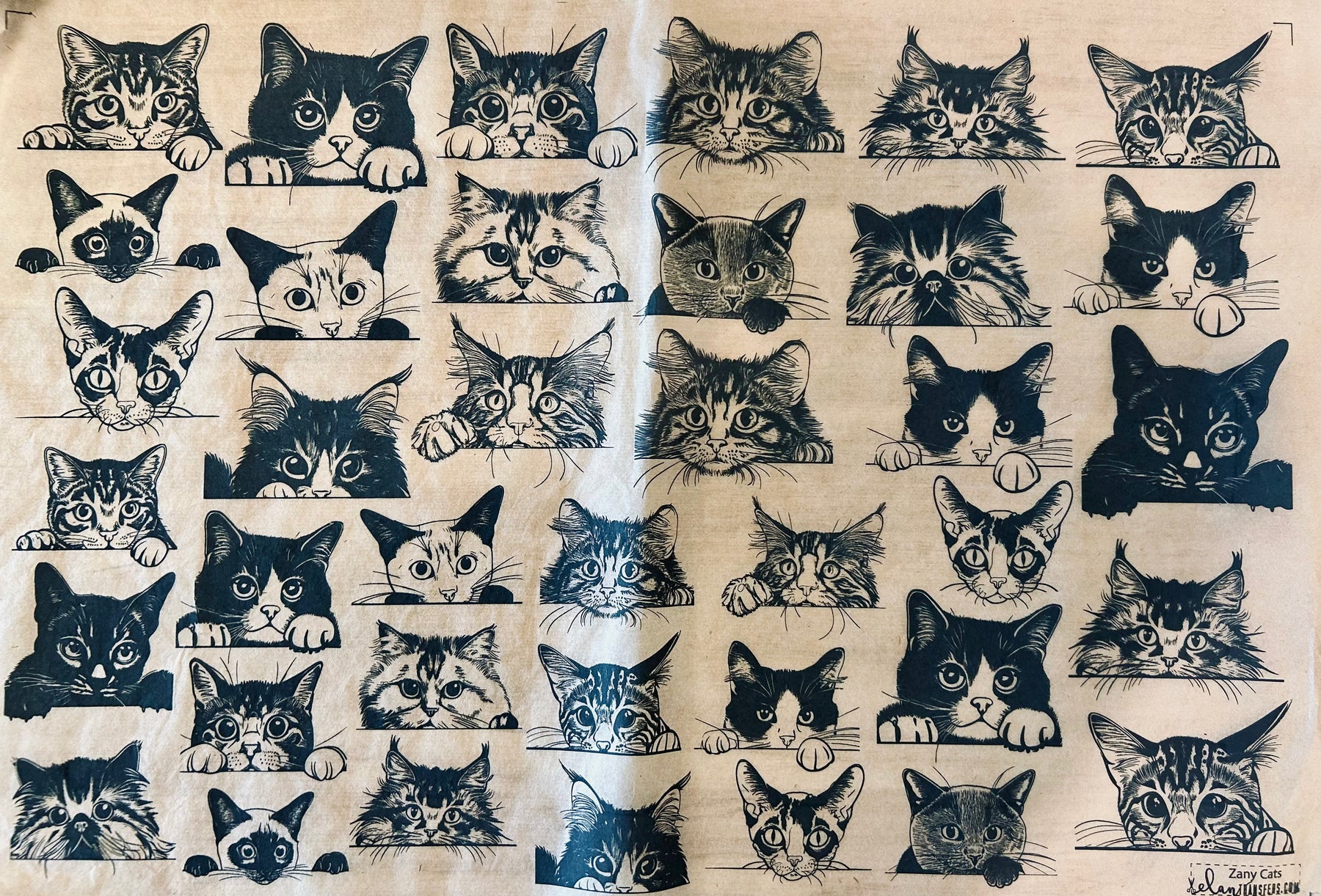 Zany Cats - Underglaze Transfer Sheet - Black