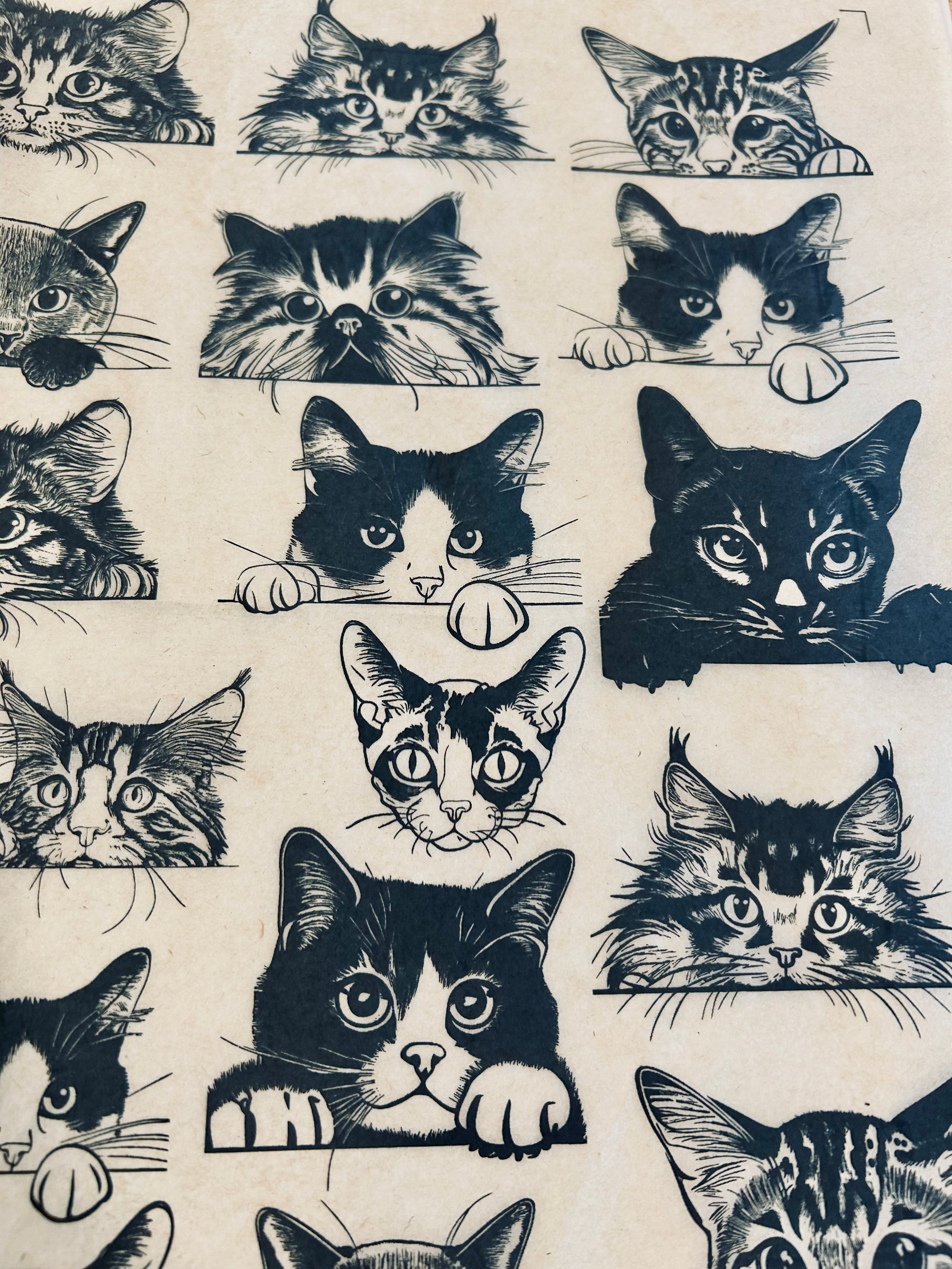 Zany Cats - Underglaze Transfer Sheet - Black