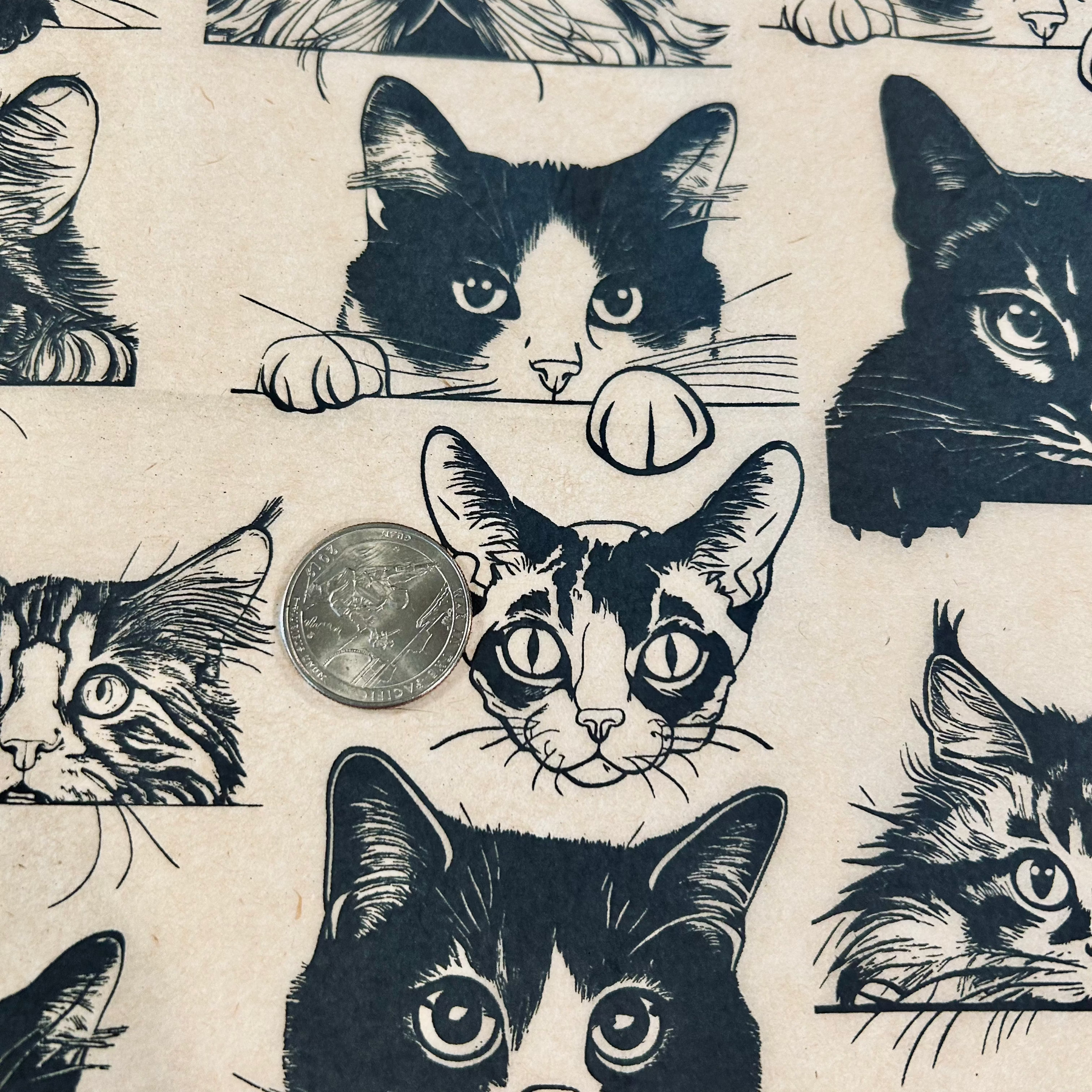 Zany Cats - Underglaze Transfer Sheet - Black