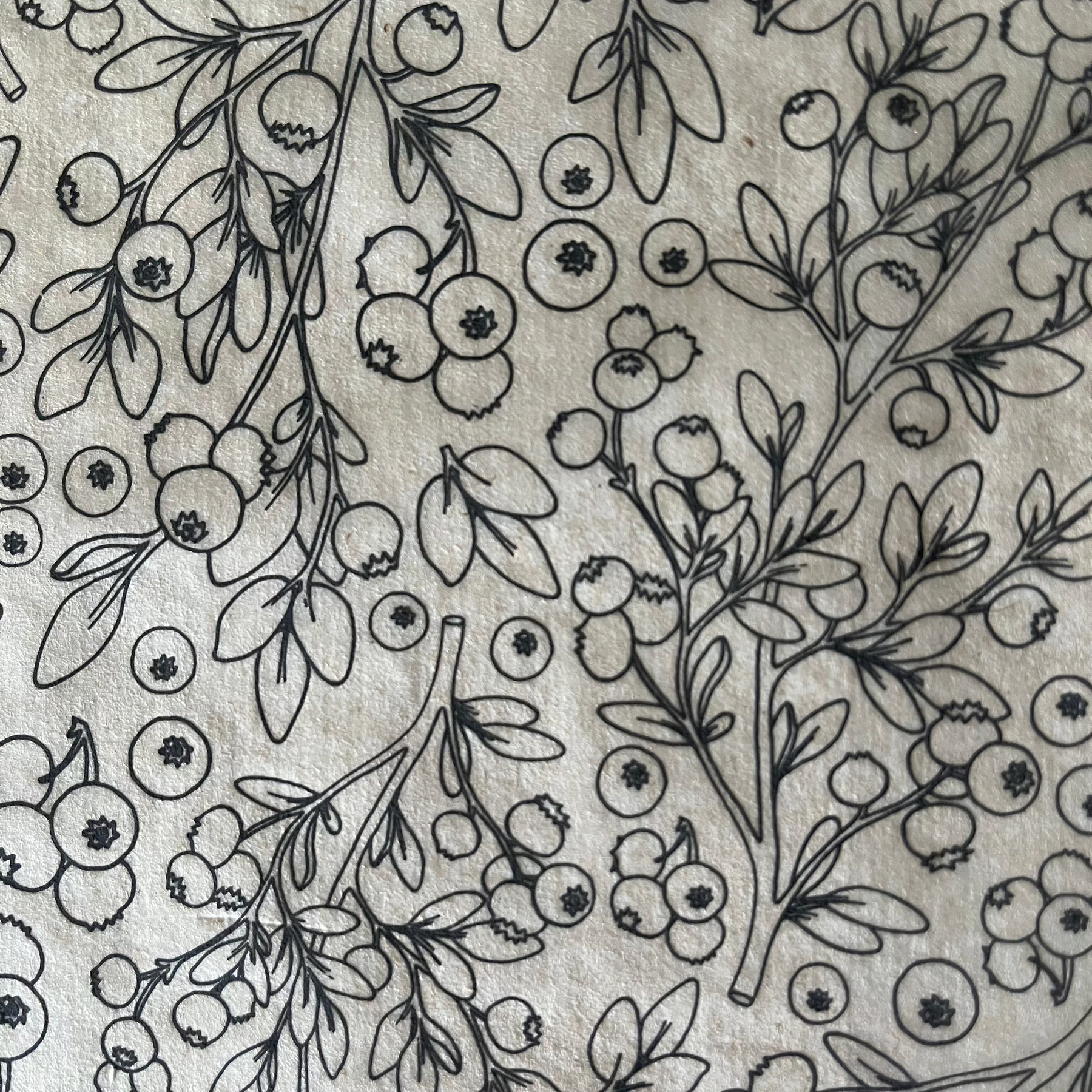 Blueberries - Underglaze Transfer Sheet