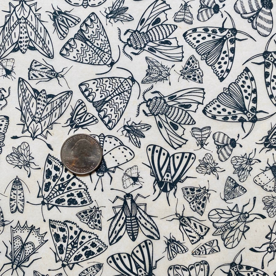 Moths - Underglaze Transfer Sheet