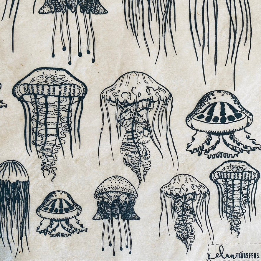 Jellyfish - Underglaze Transfer Sheet