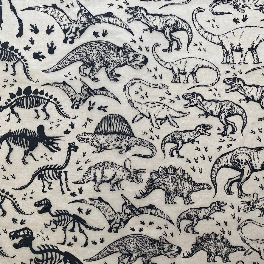 Dinosaurs - Underglaze Transfer Sheet