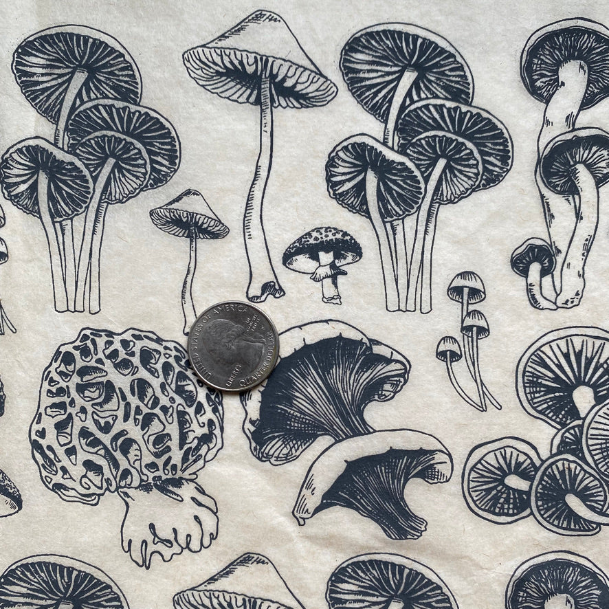 Mushrooms Natural - Underglaze Transfer Sheet