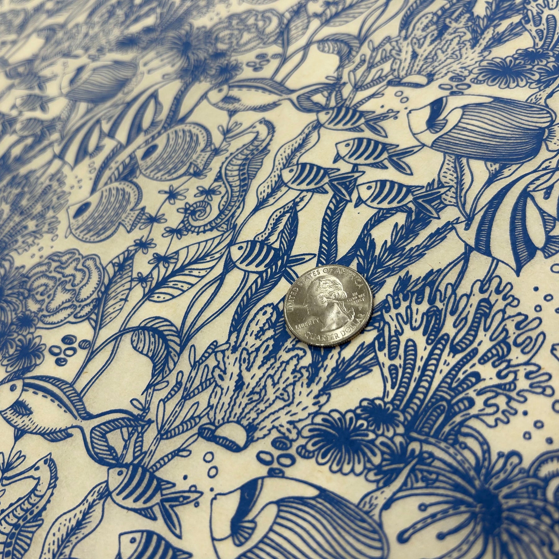 Under The Sea - Underglaze Transfer Sheet