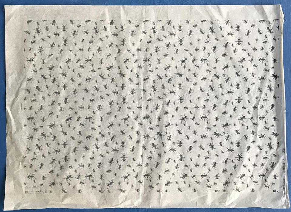 Ants - Underglaze Transfer Sheet