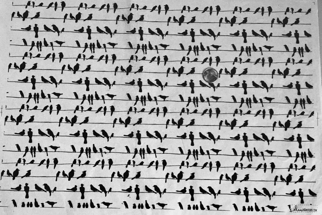Birds on a Wire - Underglaze Transfer Sheet