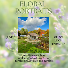 Floral Photographs Workshop | June 2nd 8:30am-12:00