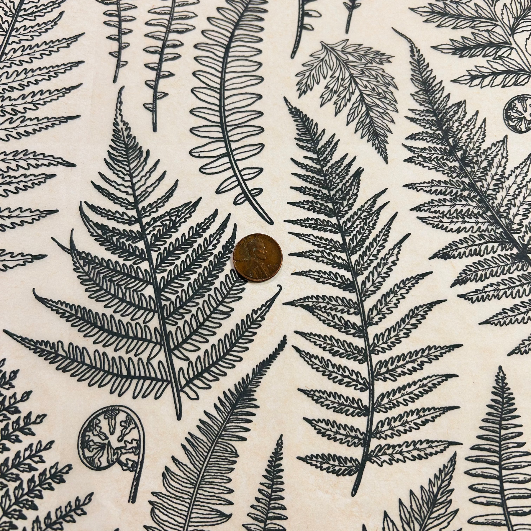 Jungle Ferns - Underglaze Transfer Sheet