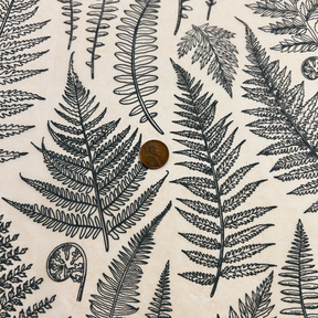Jungle Ferns - Underglaze Transfer Sheet