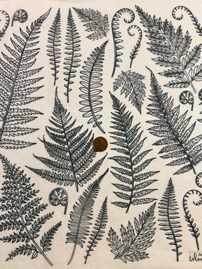 Jungle Ferns - Underglaze Transfer Sheet