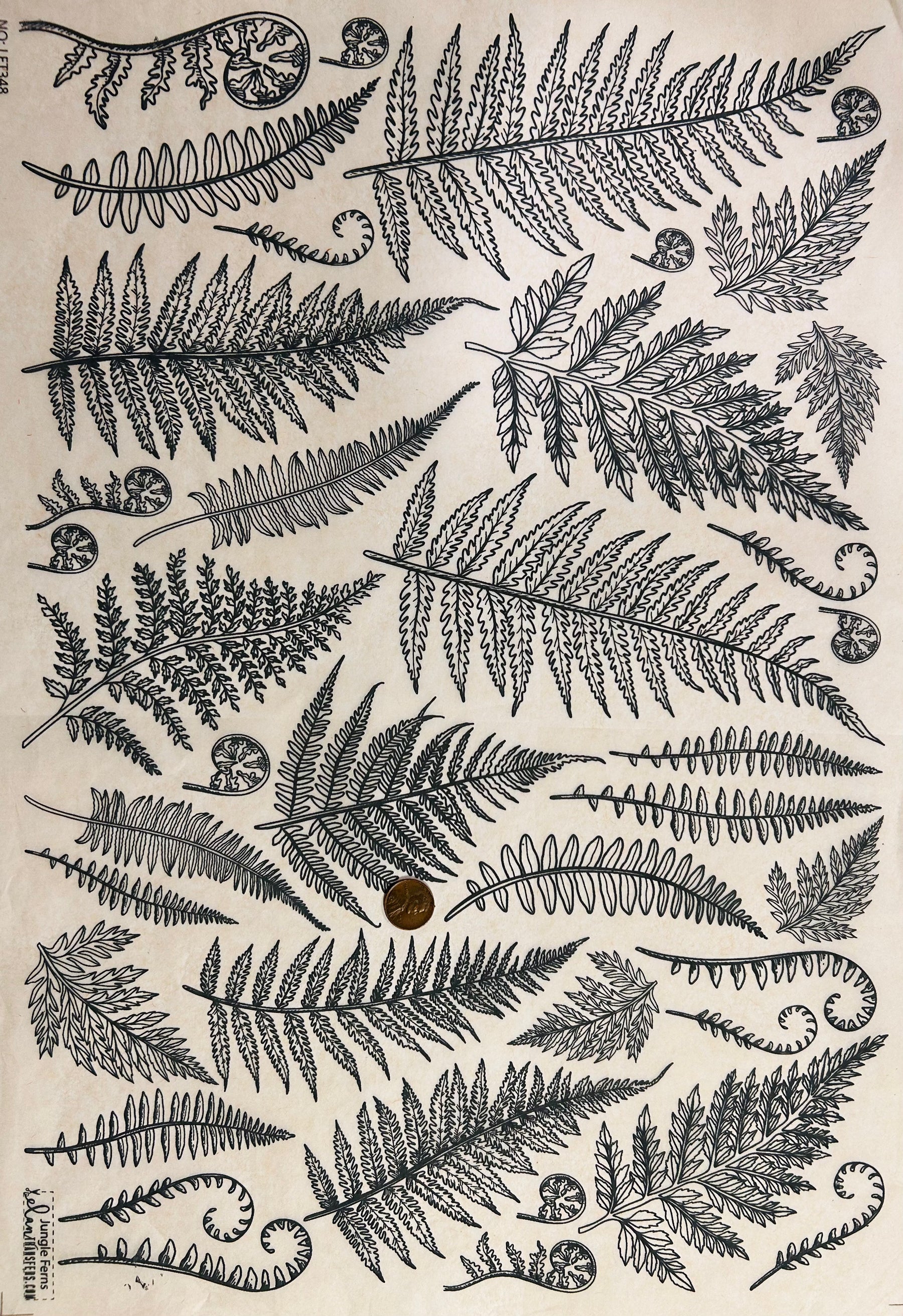 Jungle Ferns - Underglaze Transfer Sheet
