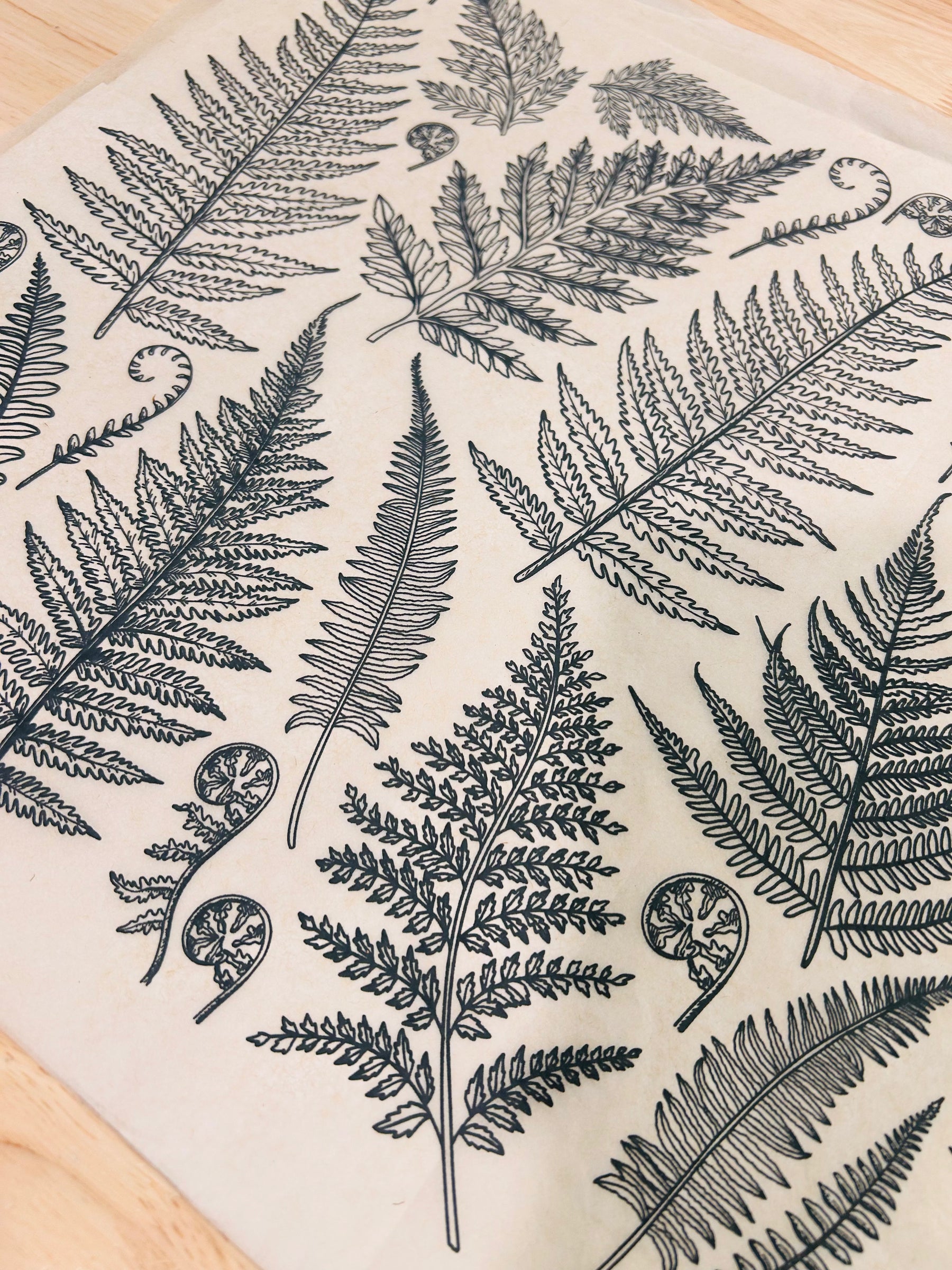 Jungle Ferns - Underglaze Transfer Sheet