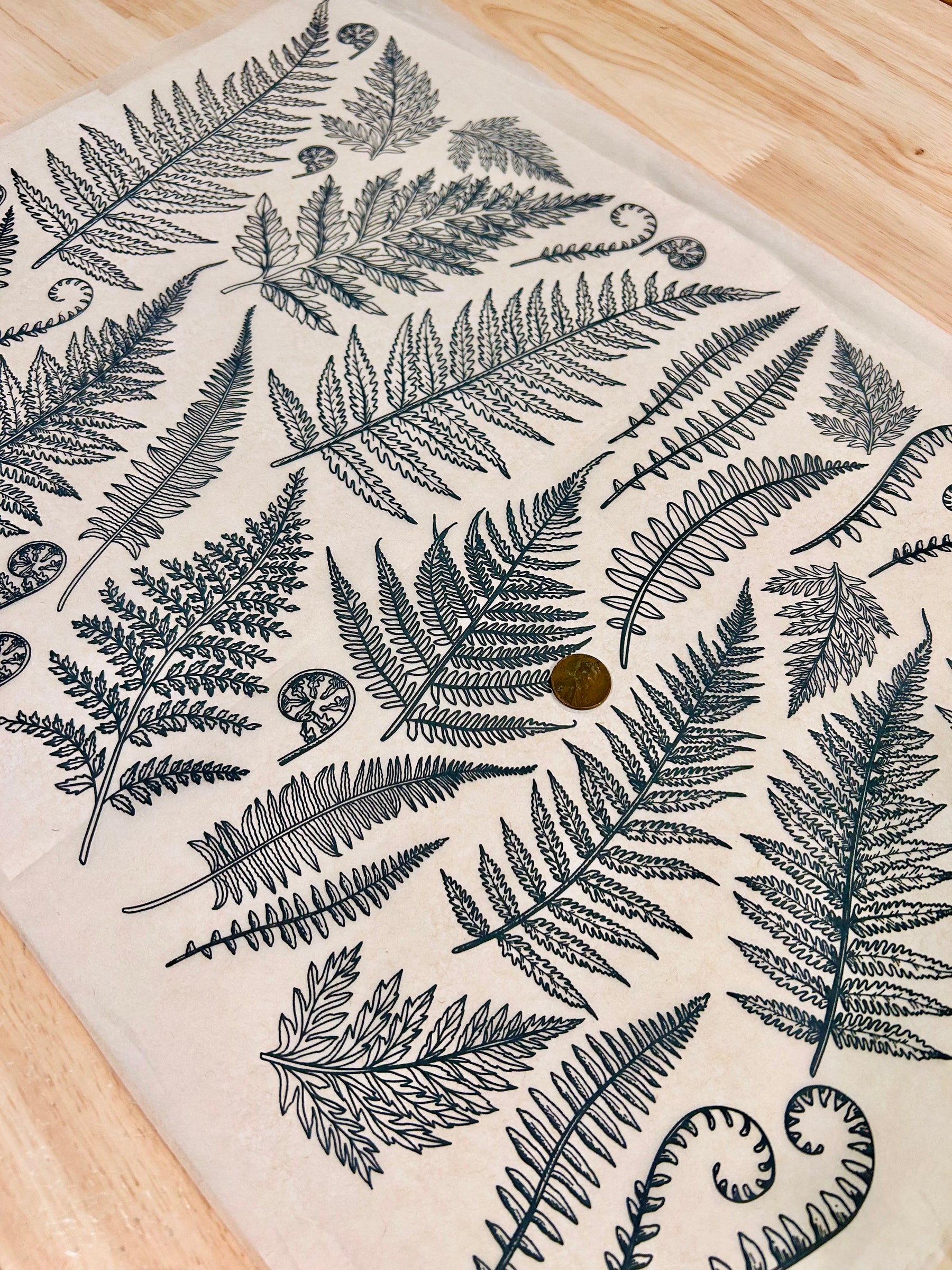 Jungle Ferns - Underglaze Transfer Sheet