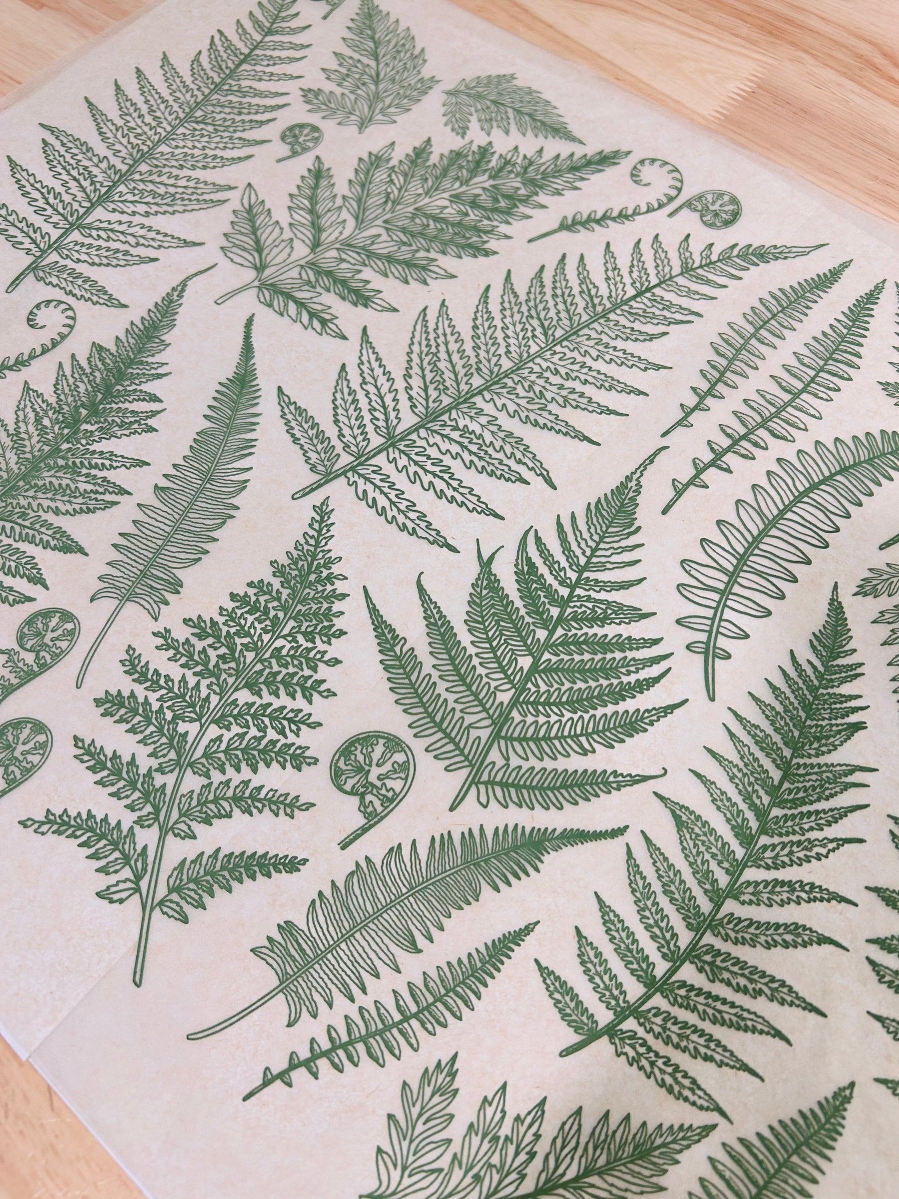 Jungle Ferns - Underglaze Transfer Sheet