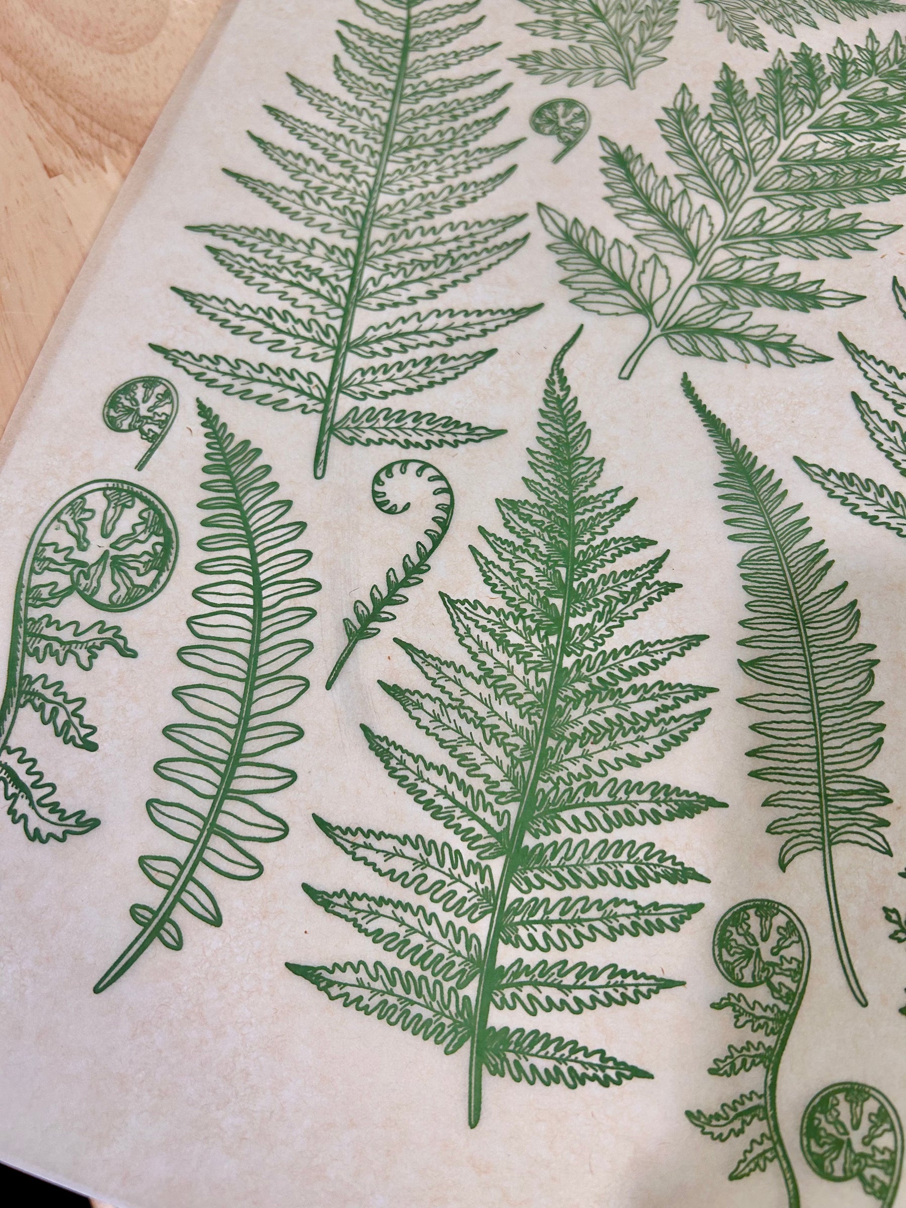 Jungle Ferns - Underglaze Transfer Sheet