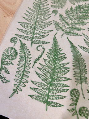 Jungle Ferns - Underglaze Transfer Sheet
