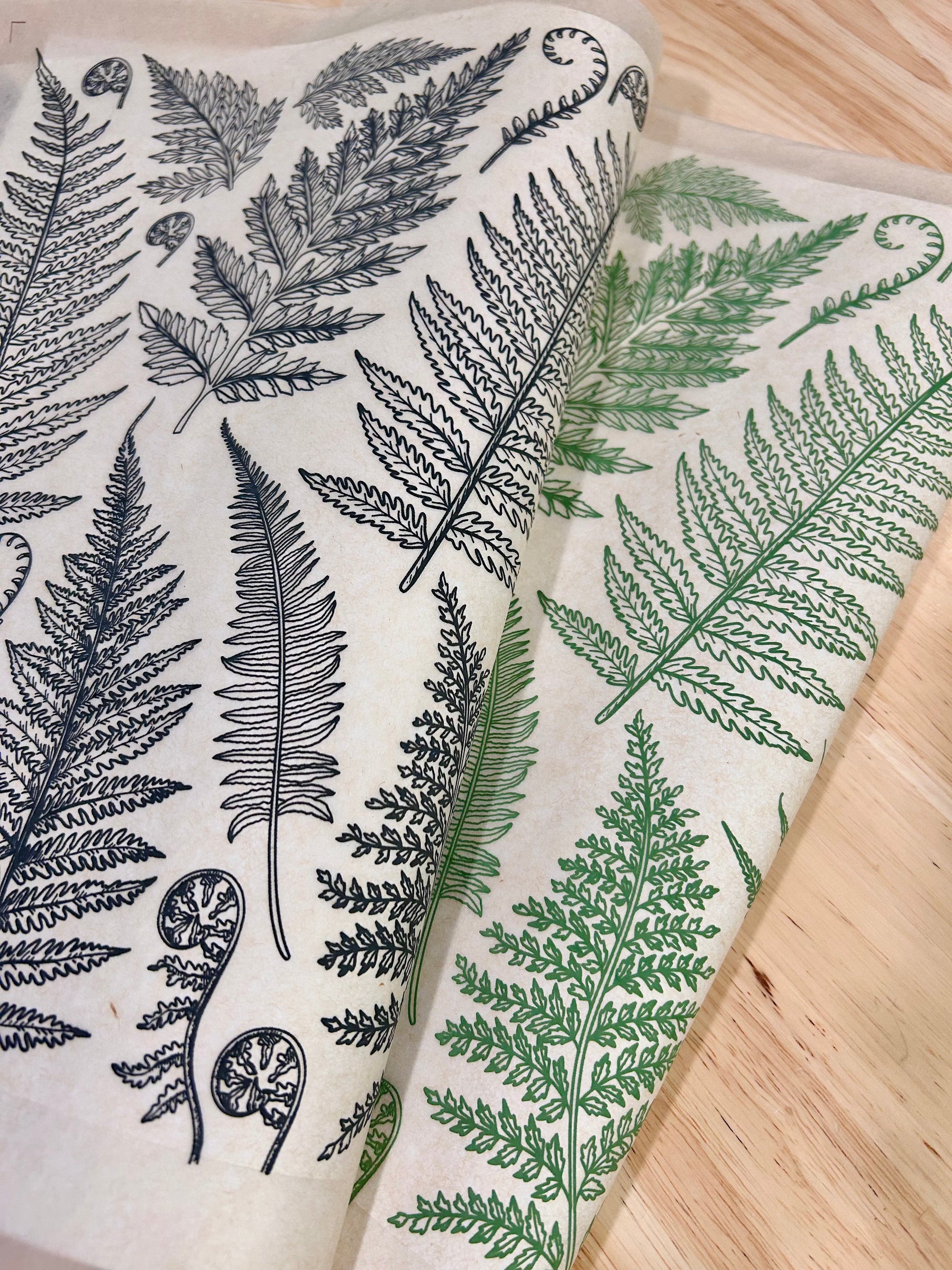Jungle Ferns - Underglaze Transfer Sheet