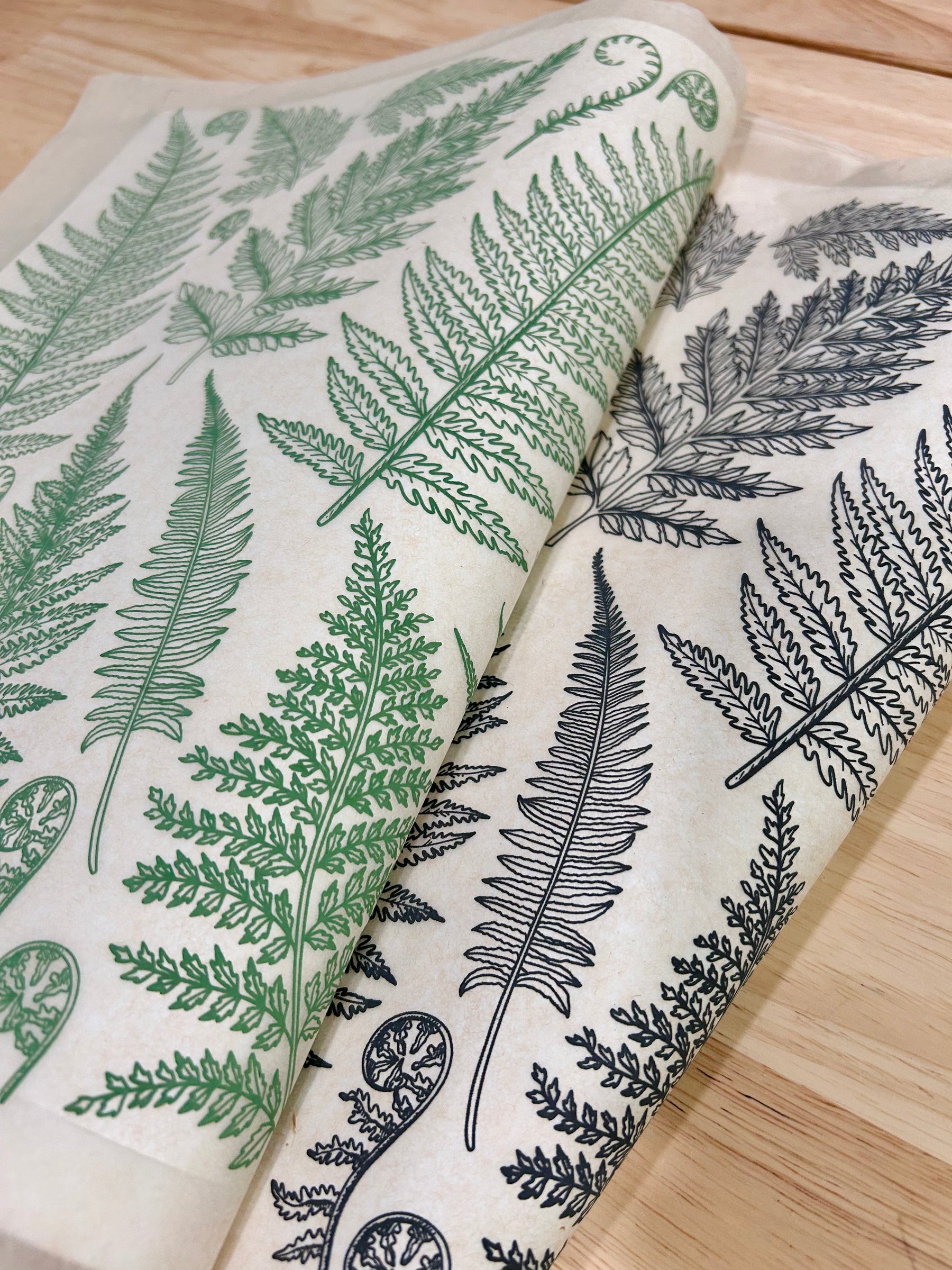Jungle Ferns - Underglaze Transfer Sheet