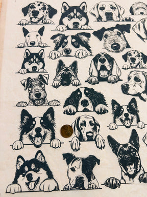 Zany Dogs - Large - Underglaze Transfer Sheet