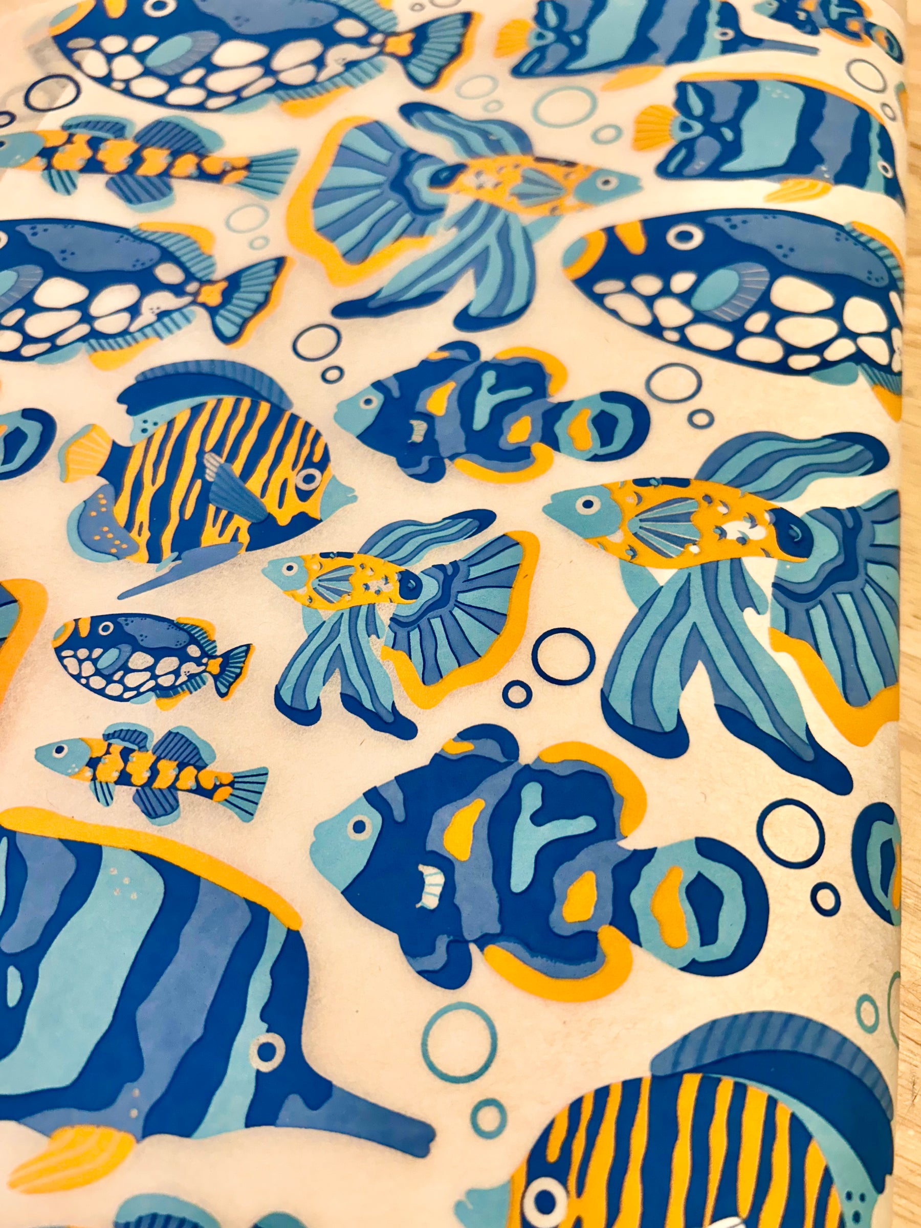 Guppies - Underglaze Transfer Sheet