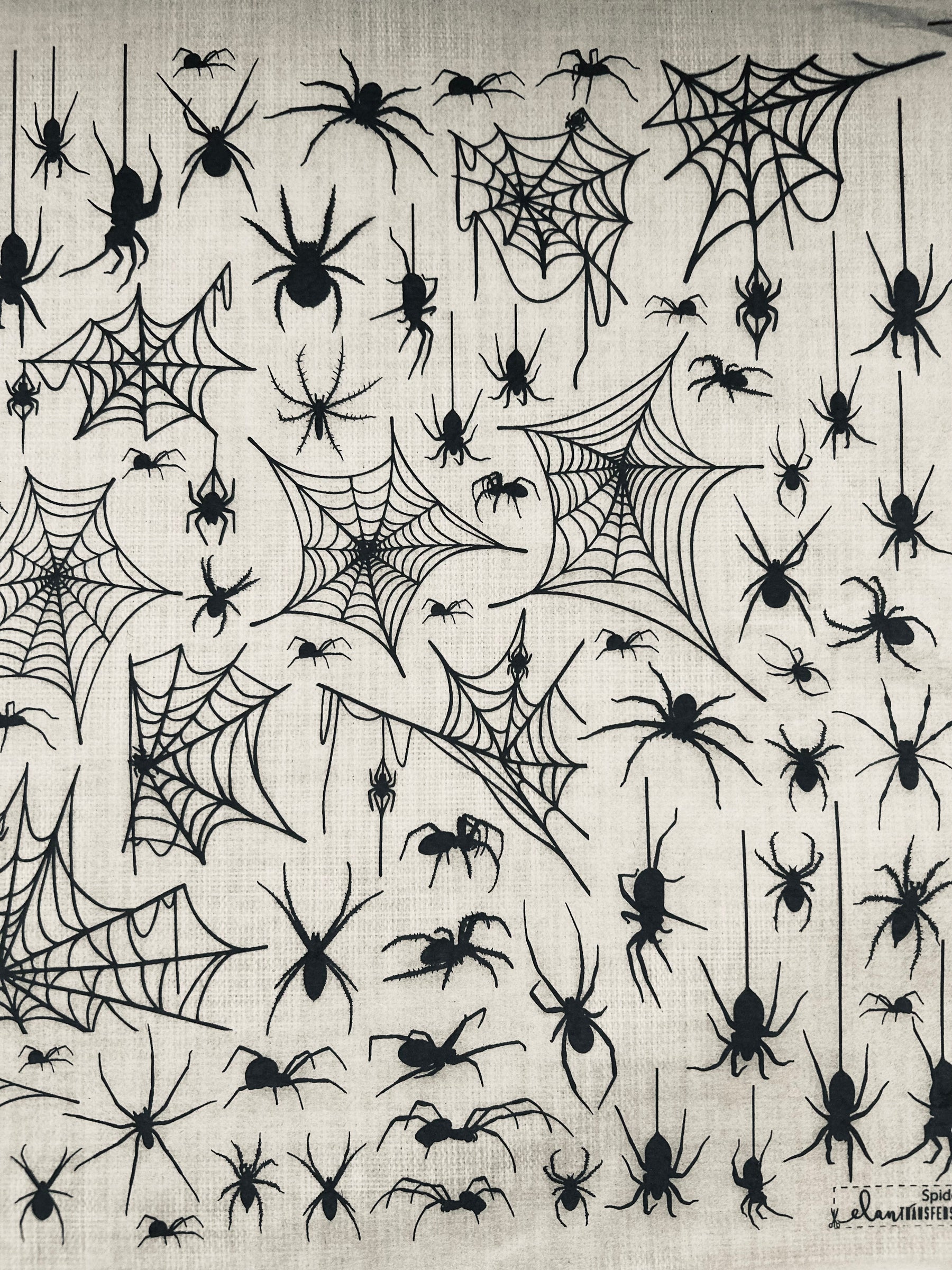 Spiders - Underglaze Transfer Sheet