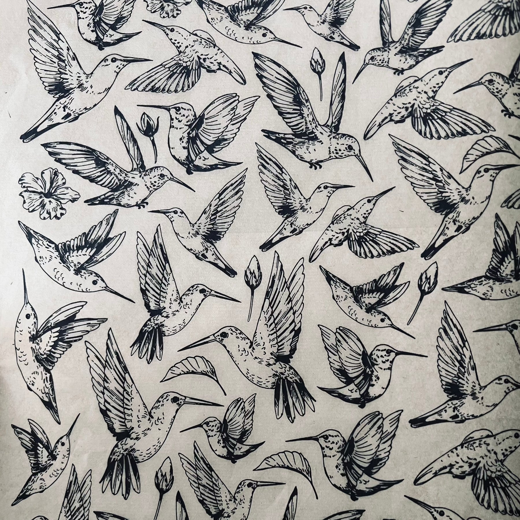 Hummingbirds - Underglaze Transfer Sheet - Black