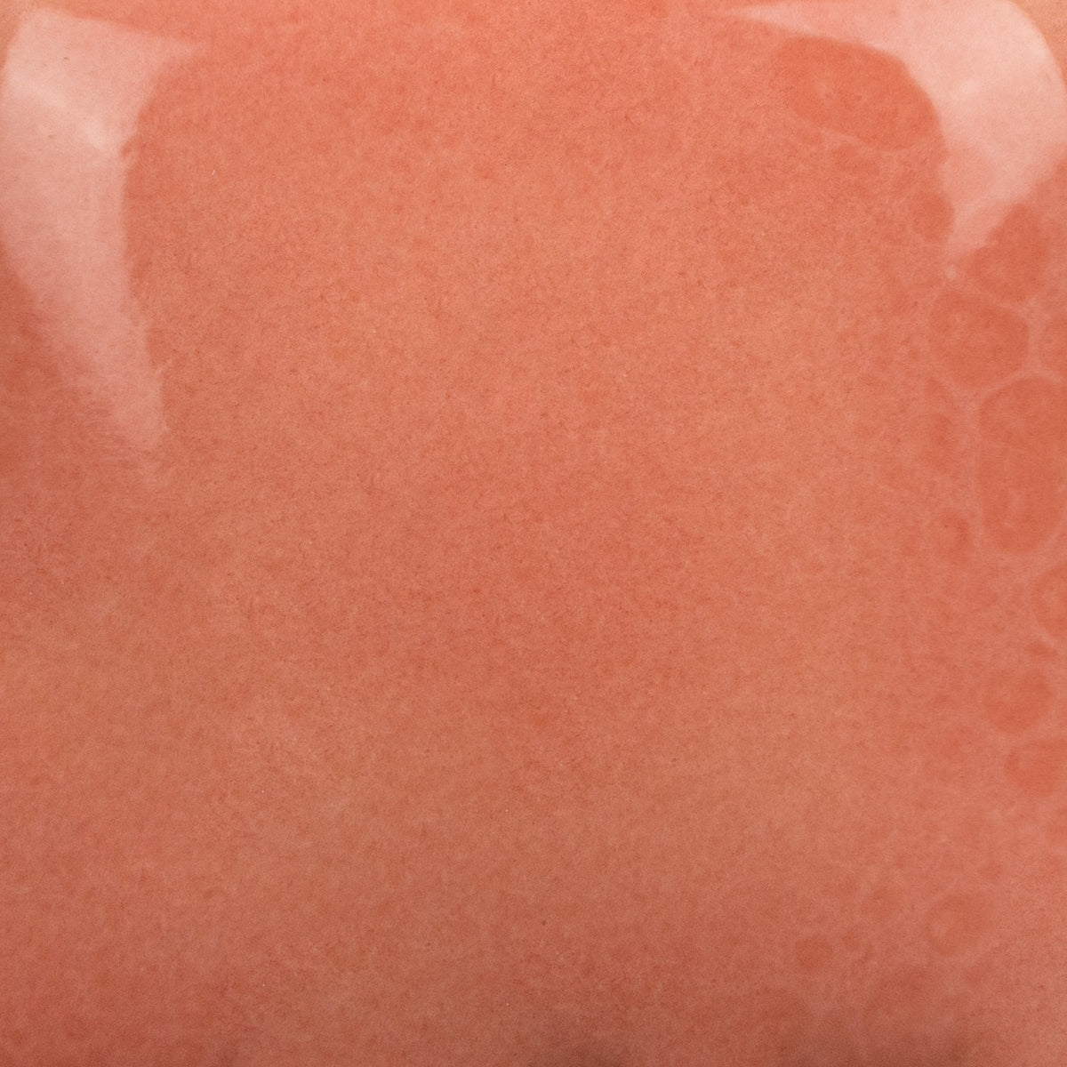 Melon-Choly