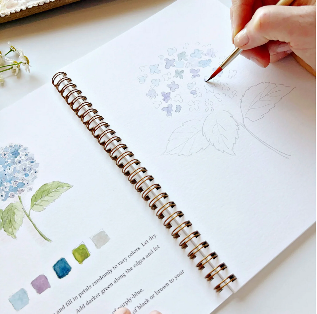 Watercolor Workshop