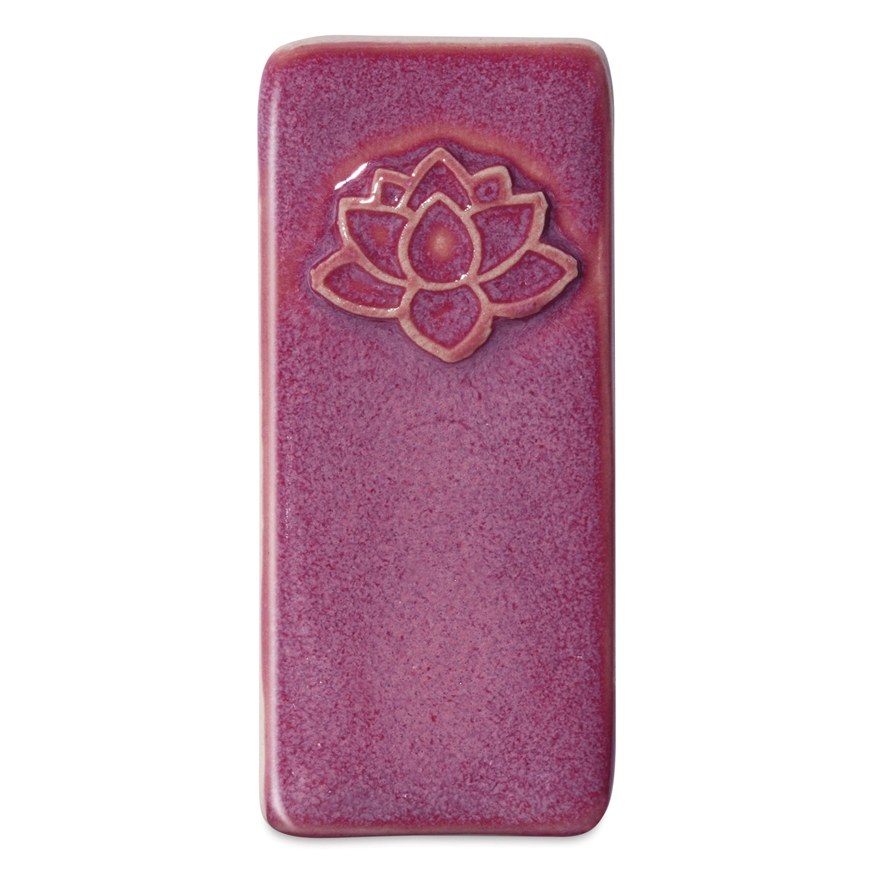 Raspberry Fizz
