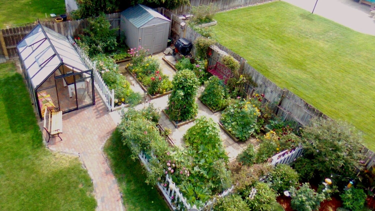 Junior Victorian Greenhouse