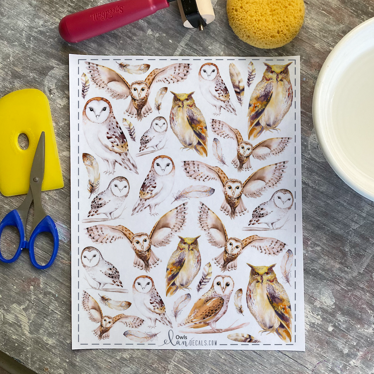 Owls - Overglaze Decal Sheet