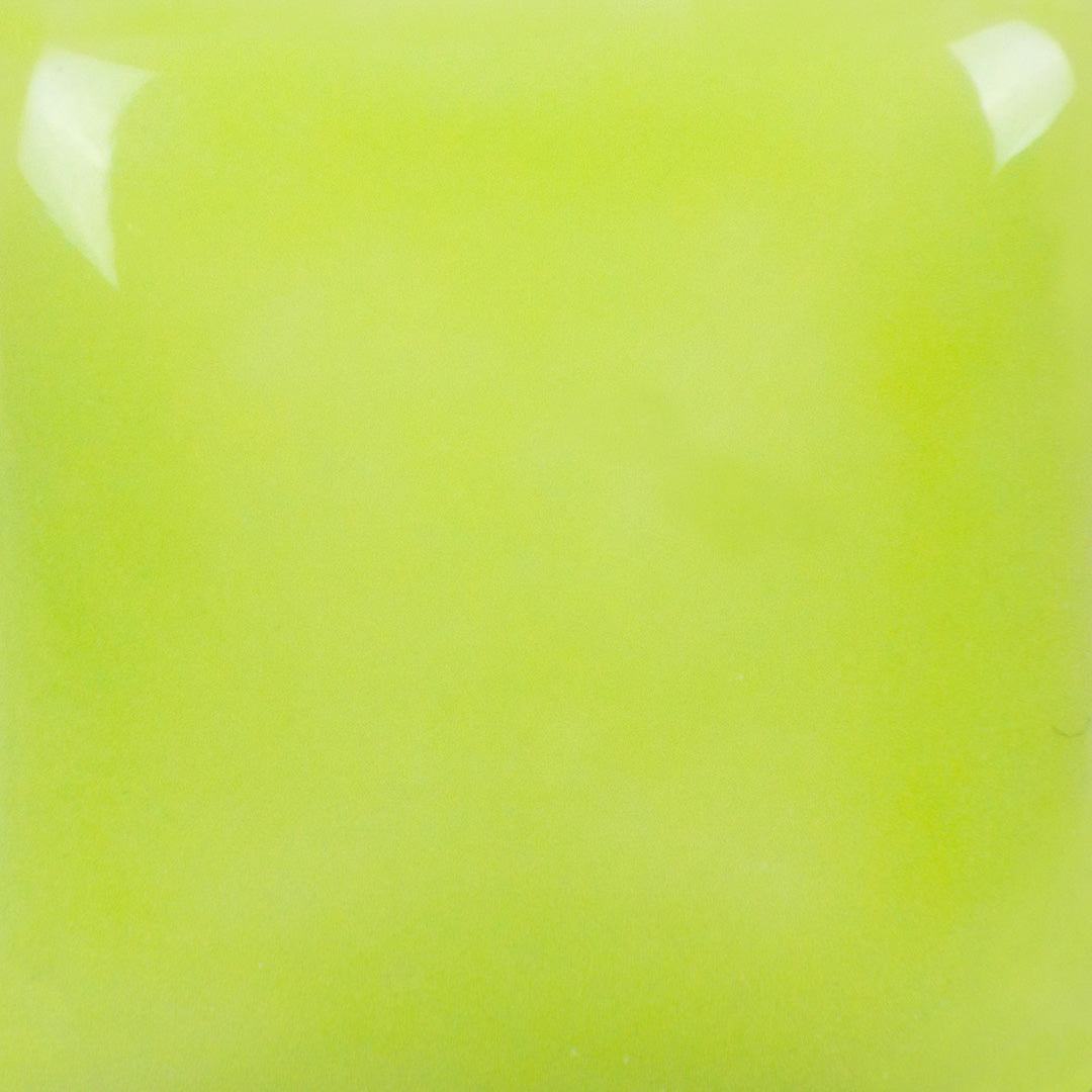 Glow-Worm