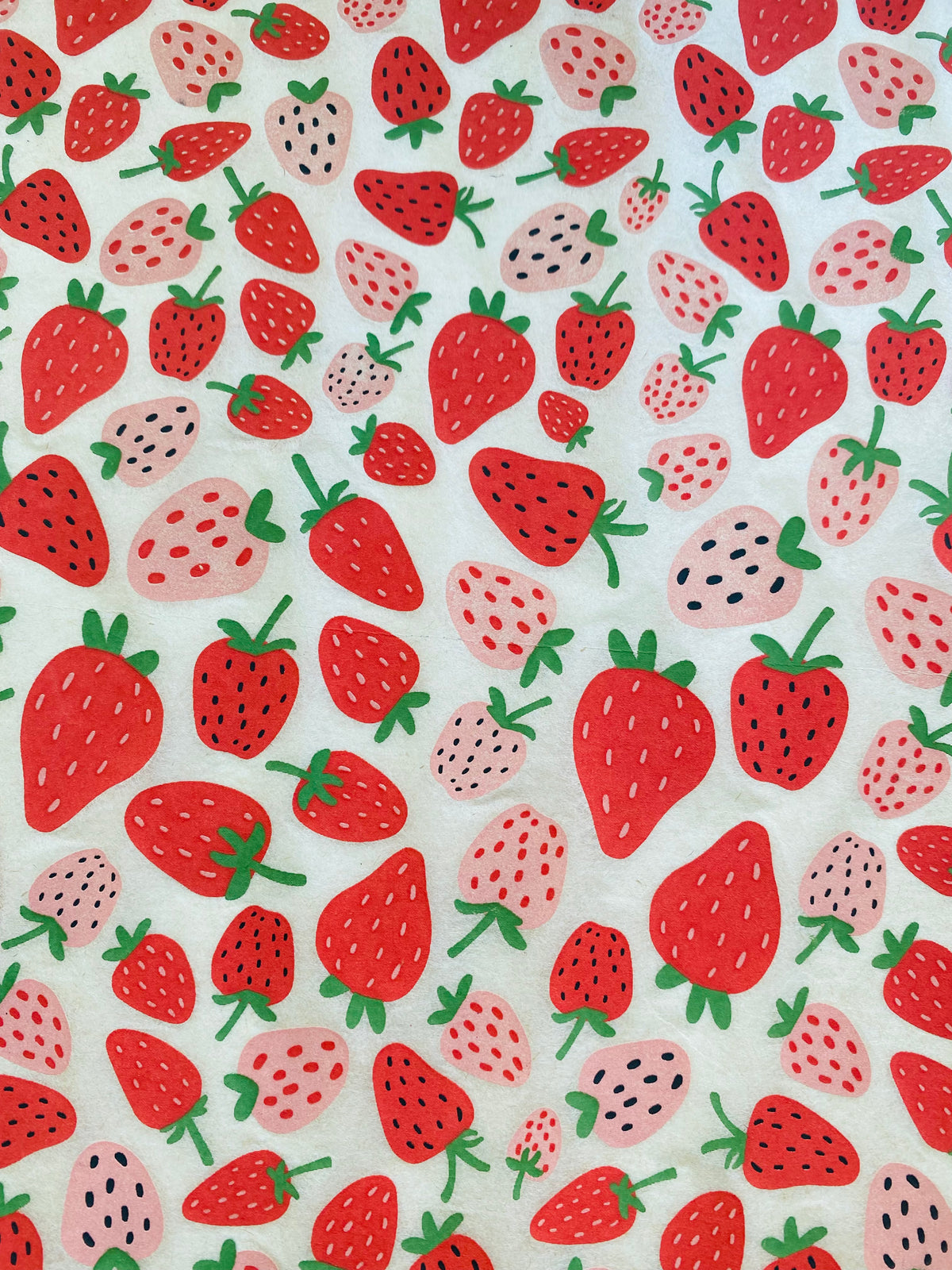 Strawberries - Underglaze Transfer Sheet - Multi Colored