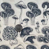 Mushrooms Natural - Underglaze Transfer Sheet