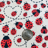 Lady Bugs - Underglaze Transfer Sheet