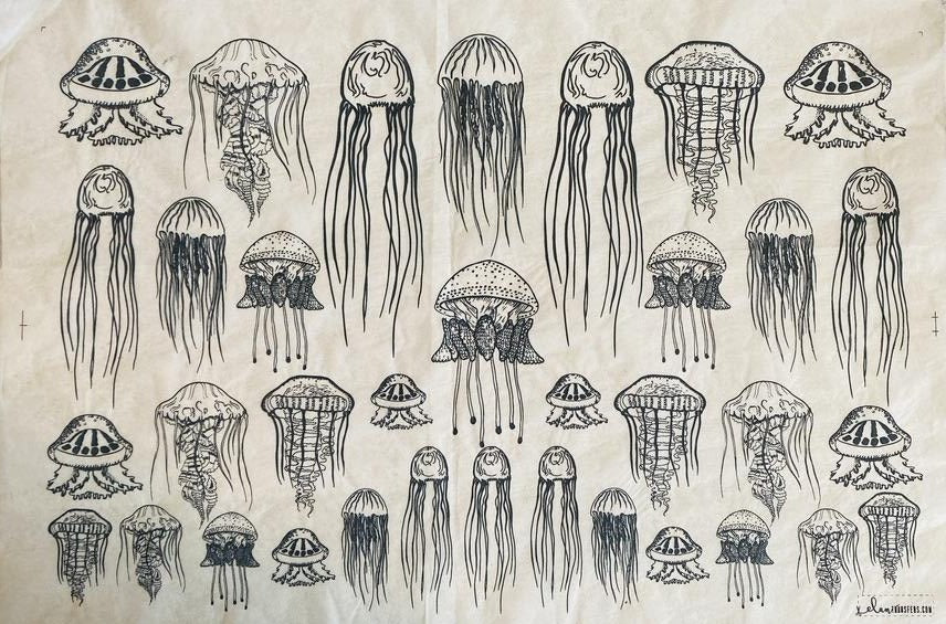 Jellyfish - Underglaze Transfer Sheet - Black