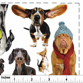 Doggos from Photo - Overglaze Decal Sheet