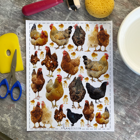 Chickens from Photo - Overglaze Decal Sheet