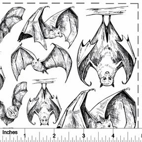 Bats Sketchy - Overglaze Decal Sheet