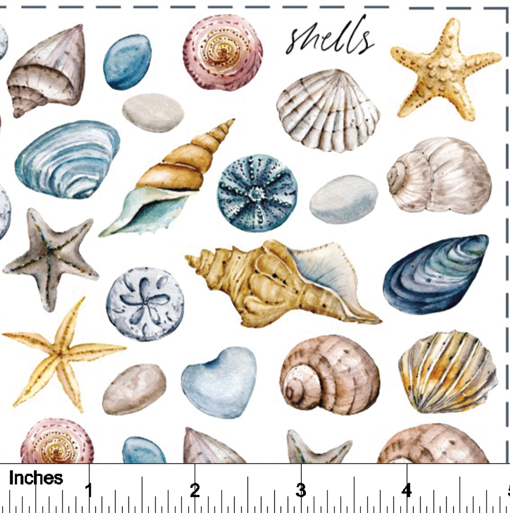 Shells - Overglaze Decal Sheet